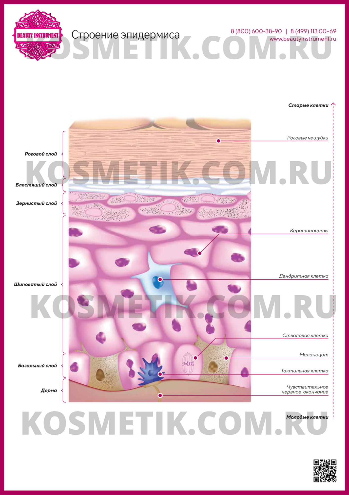 Картинки для прайса косметолога