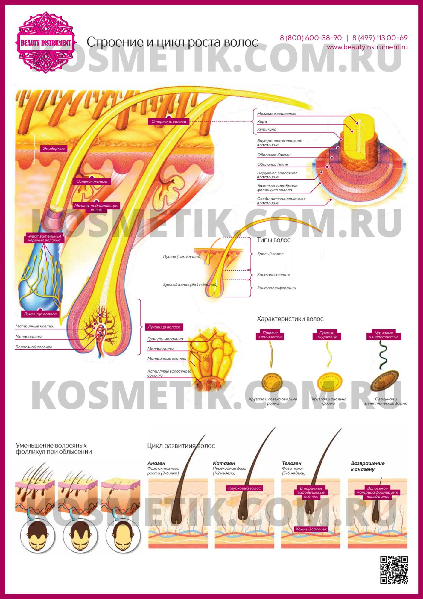 Плакат для косметолога 