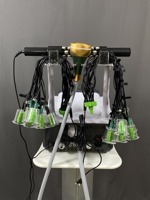 Аппарат Accupuncture Vacuum Device 3 в 1: роликовый массаж + вакуумный массаж + вакуумно-баночный массаж